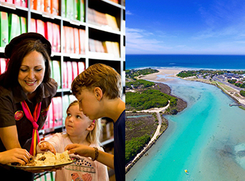 Great Ocean Road Chocolaterie & Ice creamery and Big 4 Anglesea Holiday Park