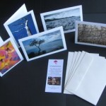 Hand-made Christmas cards for your special peeps.